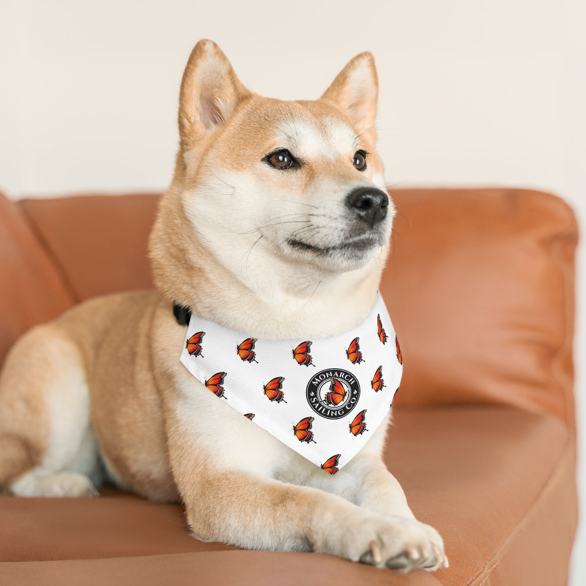 Pet Bandana Collar