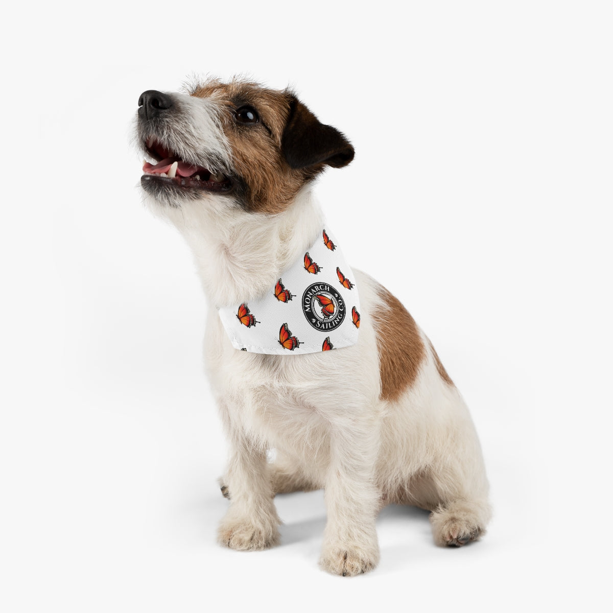Pet Bandana Collar